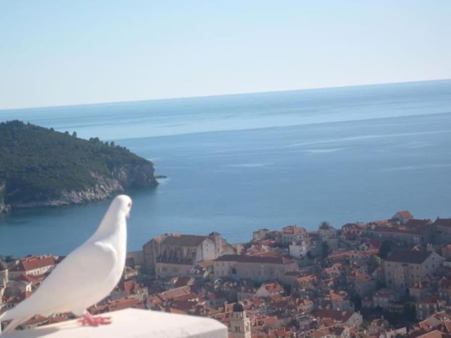 Romantic Ap,with Amazing View